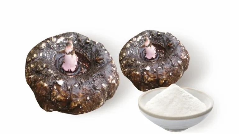 Konjac roots beside a bowl of white konjac gum powder